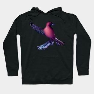 Swallow Flight Hoodie